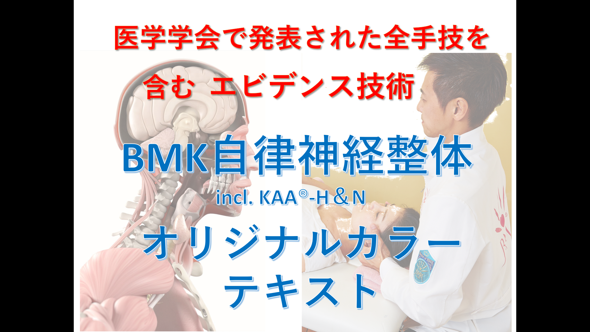 【12/6日セミナー受講者用】BMK自律神経整体オリジナルカラーテキスト